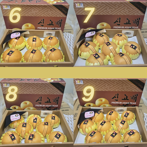 [SGP6] Premium Pear 6Pack [신고배 6과] (160ctn/PLT) MOQ 1/2 PLT